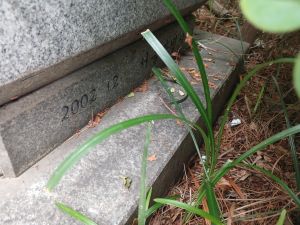 20240704 122402 사포서.jpg