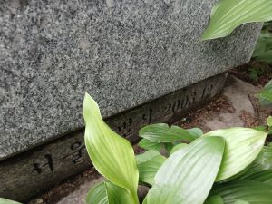 20240724 150935 별기군.jpg