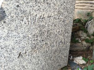 20180907 133324 진단학회.jpg