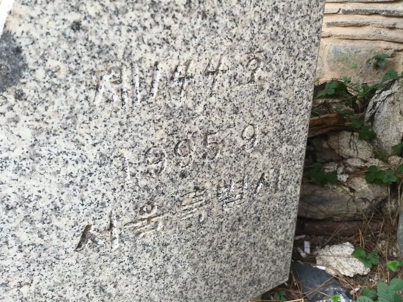 파일:20180907 133324 진단학회.jpg