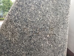 20240704 102253 관립교동.jpg