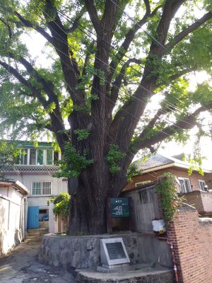 20180907 085949 권율.jpg