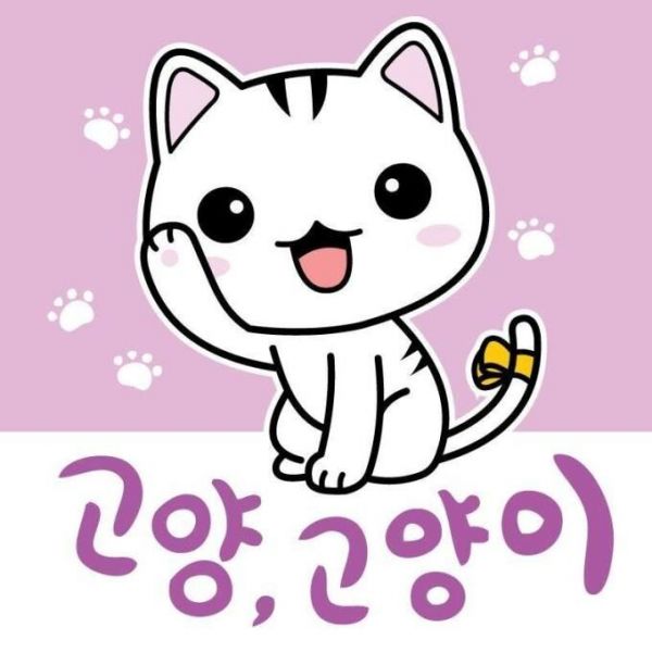 파일:고양, 고양이.jpg