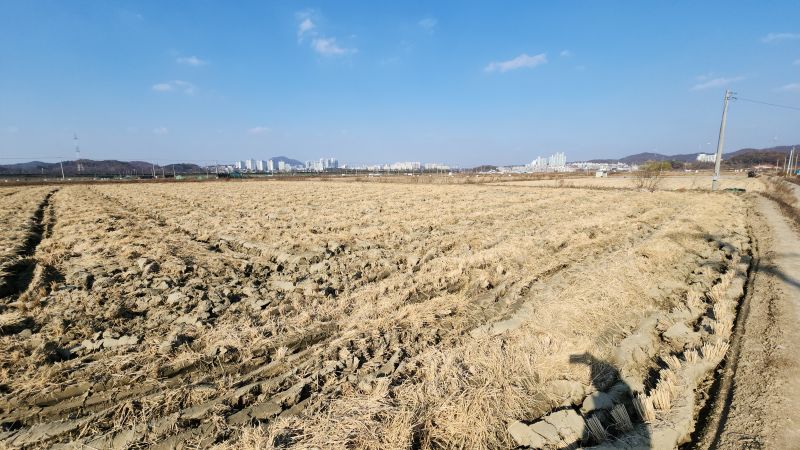 파일:심심한답사 2025년11월 호조벌.jpg