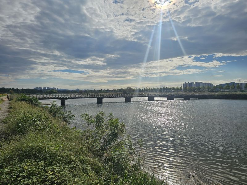 파일:충청 아산 곡교천 동 251009.jpg