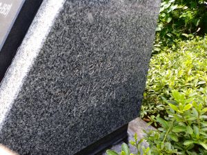 20180905 143158 조광조.jpg