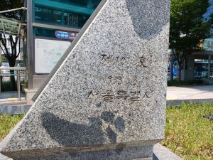 20240714 115132 세브란스.jpg