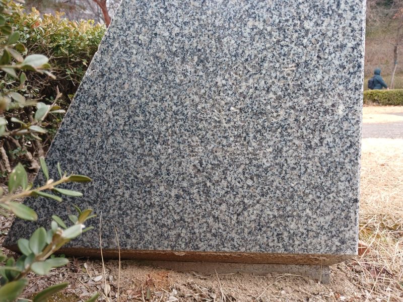 파일:20260315 132819 장충단.jpg