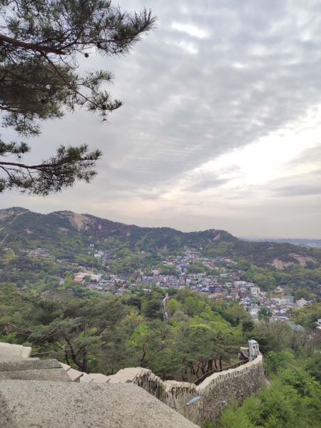 파일:Feng0101.jpg