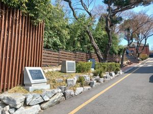 20260323 121109 장원서 blur.jpg