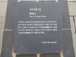 20240805 094558 구리개.jpg