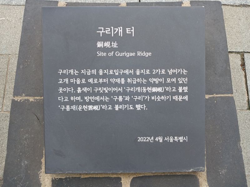 파일:20240805 094558 구리개.jpg